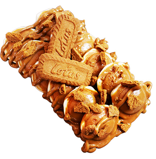 Biscuit