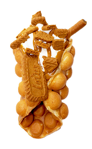Biscuit