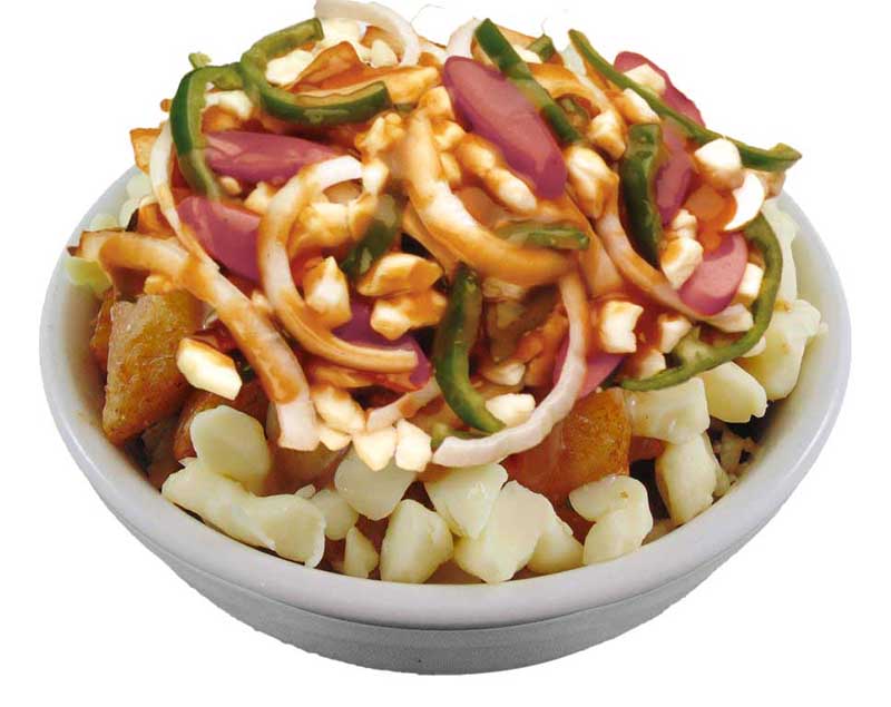 Poutine vegetarian